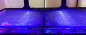 Preview: Red Sea Net Cover - Aquariennetzabdeckung
